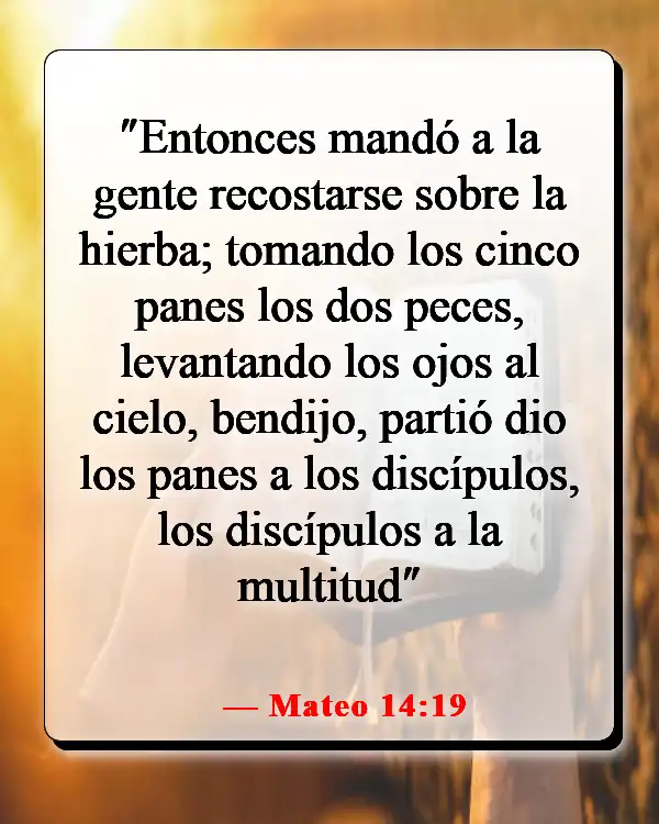 Versículos de la Biblia sobre la comida y la comunión (Mateo 14:19)