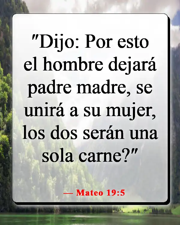 Versículos bíblicos sobre esperar para el matrimonio (Mateo 19:5)