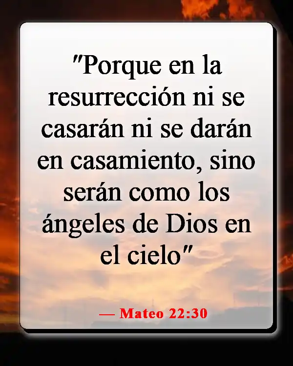Versículos de la Biblia sobre reunirse con los seres queridos en el cielo (Mateo 22:30)