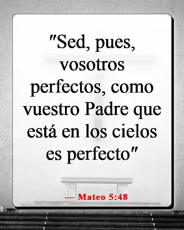 Versículos de la Biblia sobre no ser perfecto (Mateo 5:48)