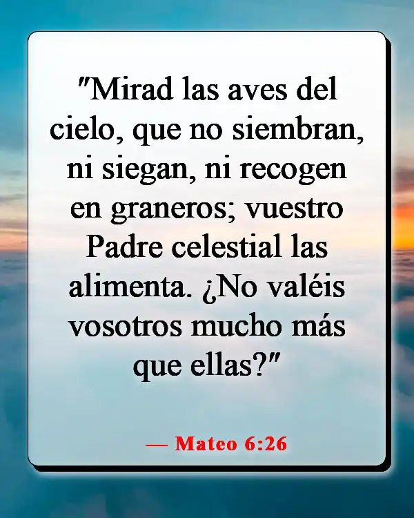 Versículos de la Biblia sobre sembrar y cosechar (Mateo 6:26)