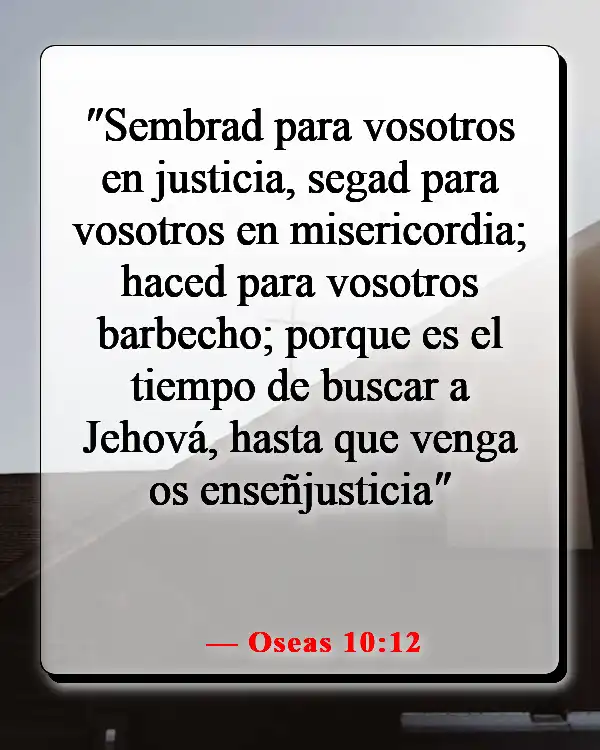 Versículos de la Biblia sobre sembrar y cosechar (Oseas 10:12)