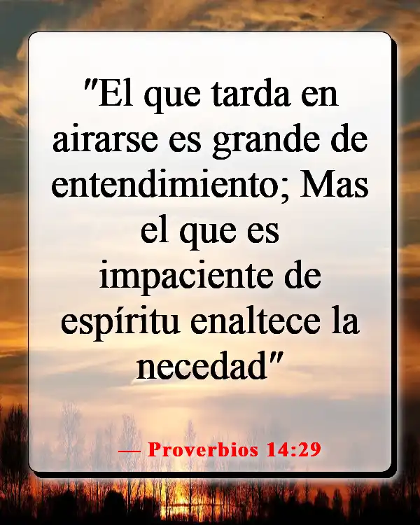 Versículos de la Biblia sobre cómo Dios te envía a la persona correcta (Proverbios 14:29)