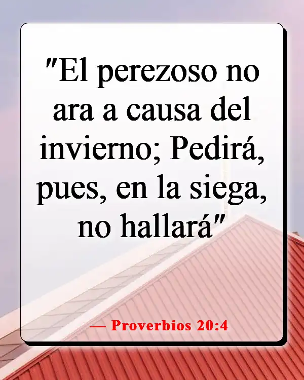 Versículos de la Biblia sobre las estaciones de la vida (Proverbios 20:4)