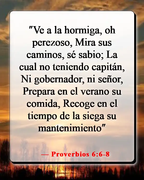 Versículos de la Biblia sobre asumir la responsabilidad de tus propias acciones (Proverbios 6:6-8)
