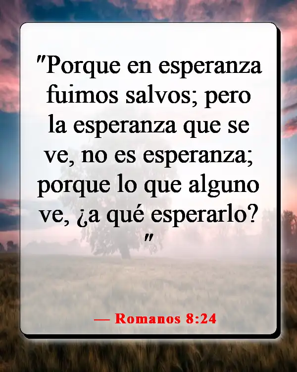 Versículos de la Biblia sobre creer sin ver (Romanos 8:24)