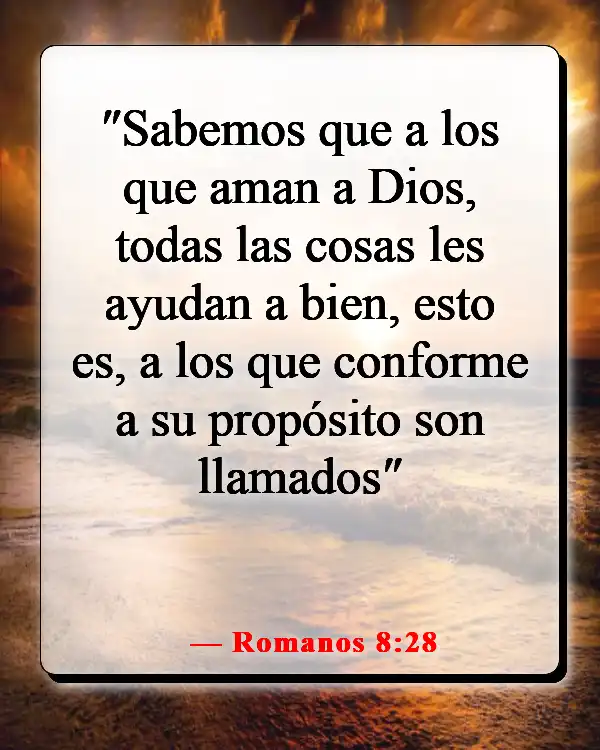 Versículos de la Biblia sobre cambiar tu mentalidad (Romanos 8:28)