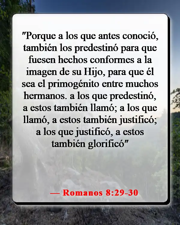 Versículos de la Biblia sobre celebrar la vida después de la muerte (Romanos 8:29-30)