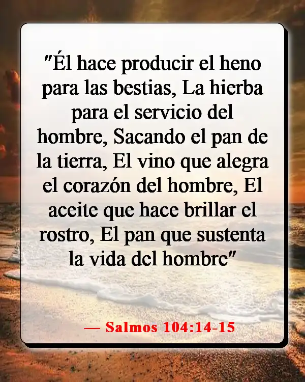 Versículos de la Biblia sobre la comida y la comunión (Salmos 104:14-15)