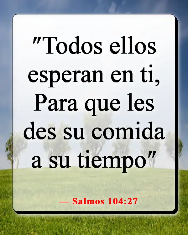 Versículos de la Biblia sobre las estaciones de la vida (Salmos 104:27)