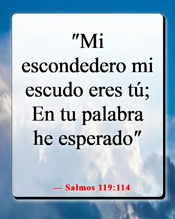 Versículos de la Biblia sobre la esperanza en tiempos difíciles (Salmos 119:114)