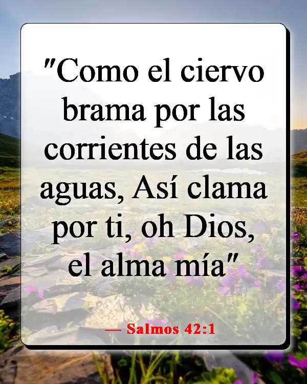 Versículo de la Biblia sobre la relación íntima con Dios (Salmos 42:1)