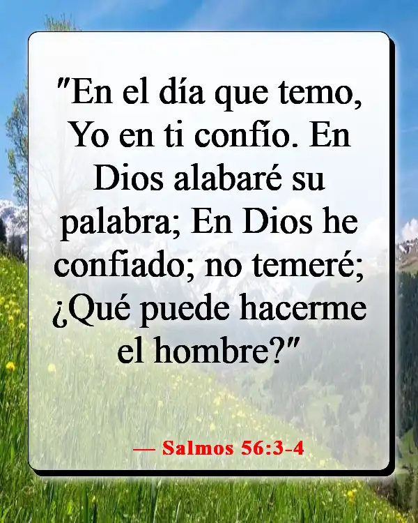 Versículos de la Biblia sobre luchar por lo que es correcto (Salmos 56:3-4)