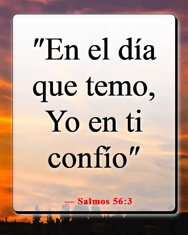 Versículo bíblico sobre las pruebas que nos hacen más fuertes (Salmos 56:3)