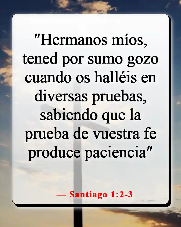 Versículo de la Biblia para hacerte sentir mejor (Santiago 1:2-3)