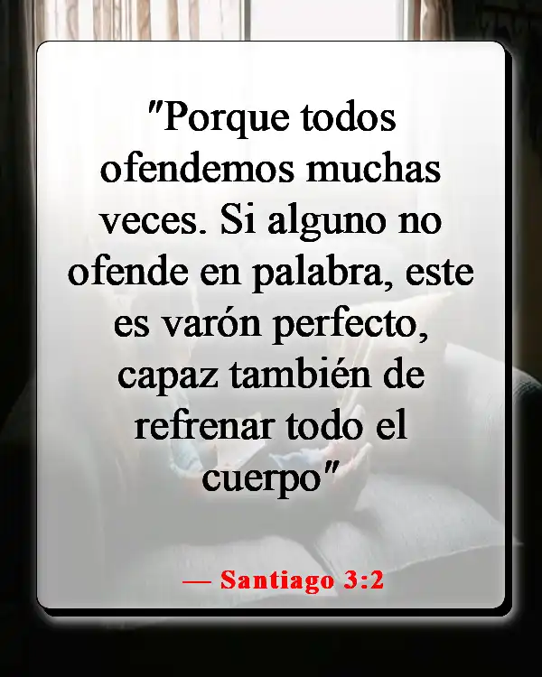 Versículos de la Biblia sobre no ser perfecto (Santiago 3:2)