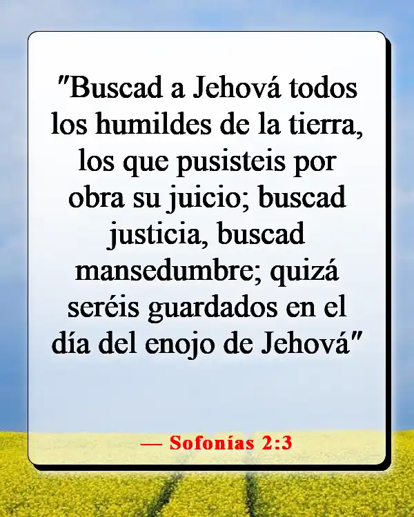 Humíllate en la presencia del Señor (Sofonías 2:3)