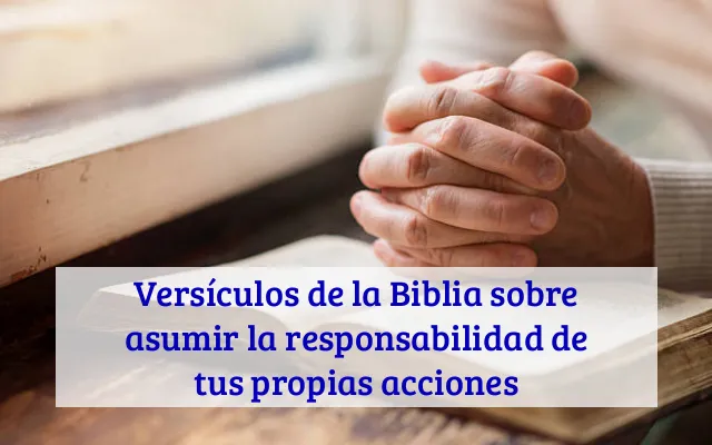 Versículos de la Biblia sobre asumir la responsabilidad de tus propias acciones