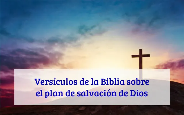Versículos de la Biblia sobre el plan de salvación de Dios