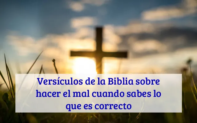 Versículos de la Biblia sobre hacer el mal cuando sabes lo que es correcto