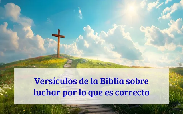 Versículos de la Biblia sobre luchar por lo que es correcto